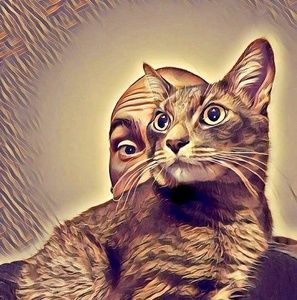 Meet your Posher, David